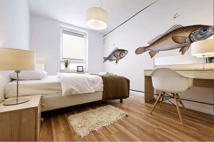 1. Starry Bodian Bodianus stellifer 2. Silver Bodian Bodianus Argenteus Mural print