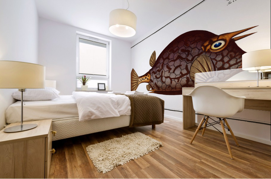 Cuckold-fish Ostracion Quadricornis Mural print