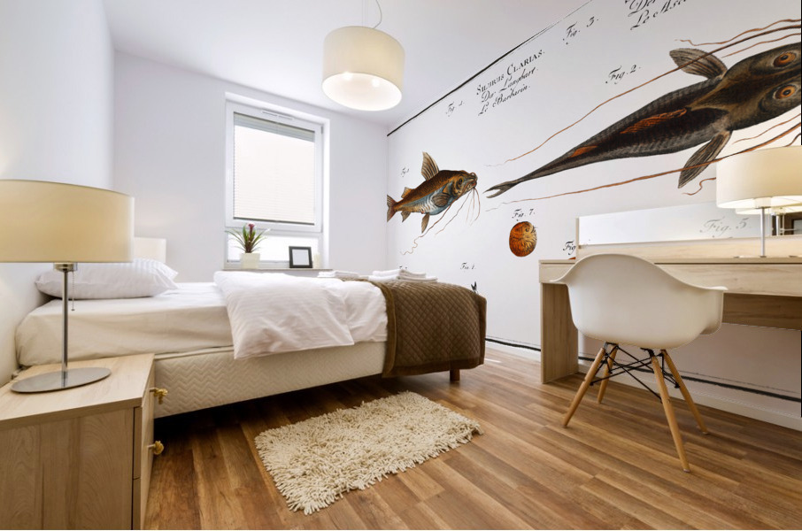 1. Longbearded Silurus Clarias 2. Crack-Belly Silurus Ascita Mural print