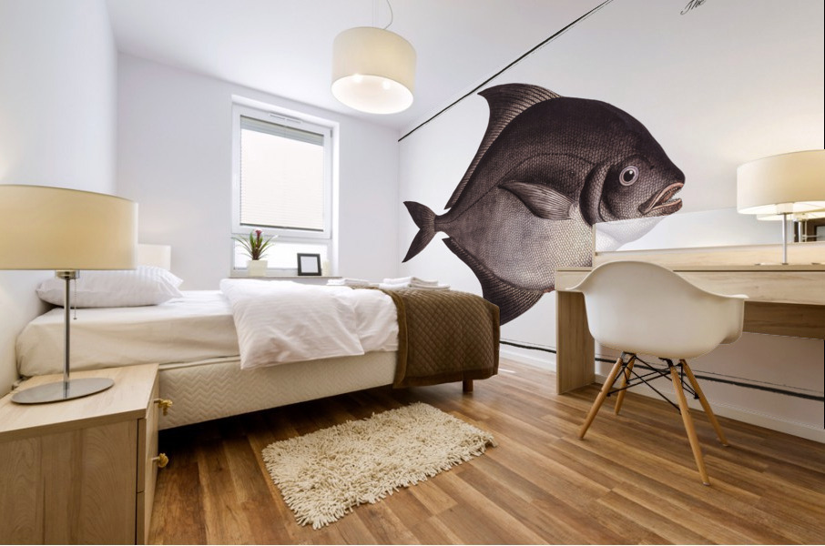 Black-Pampel Stromateus niger Mural print