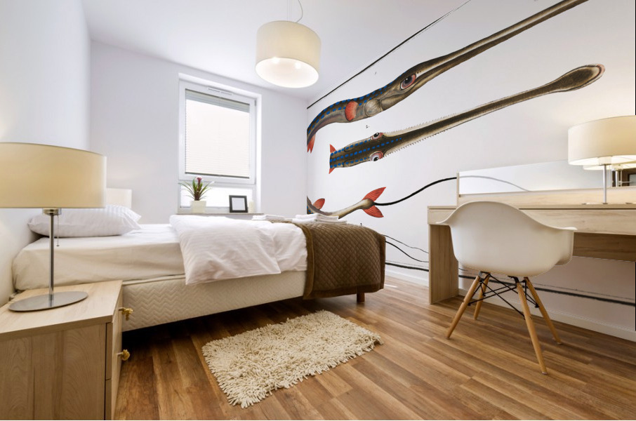 Tobacco-Pipe-Fish Fistularia tabacaria Mural print