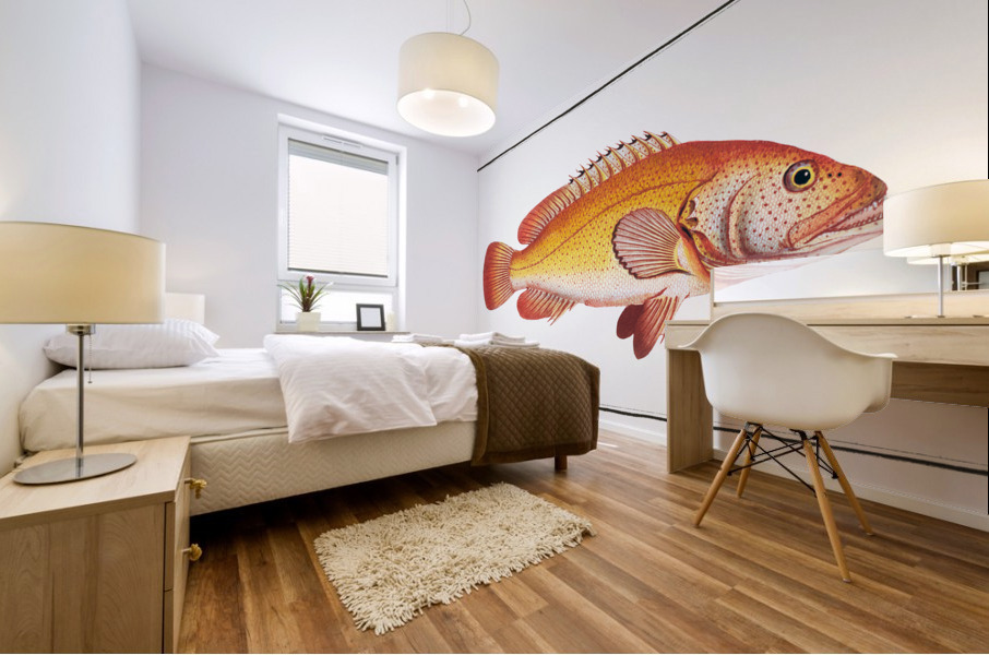 Holocentrus auratus Mural print