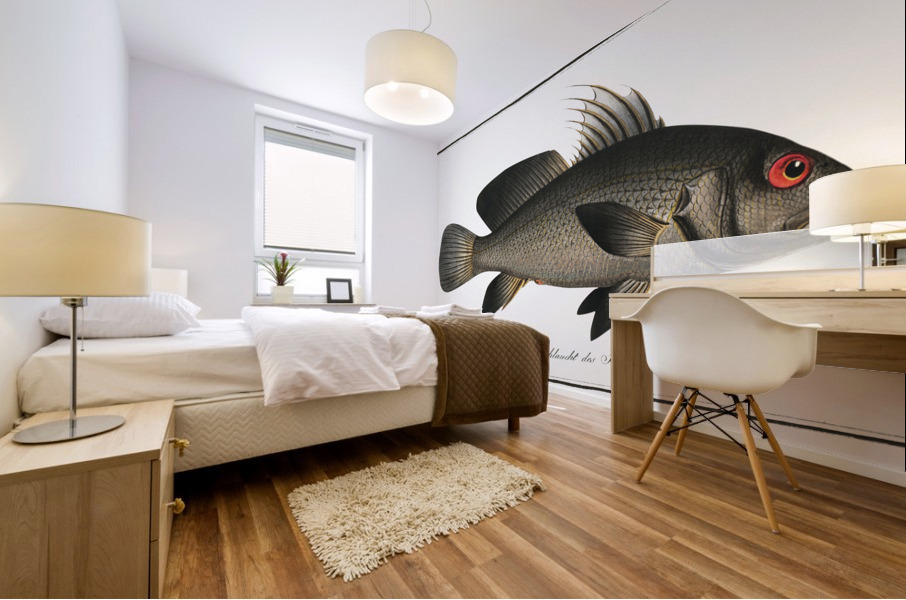 Black-Umber Sciaena nigra Mural print