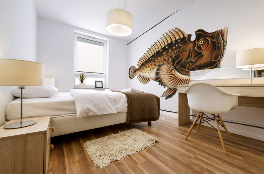 Scorpaena horrida Mural print