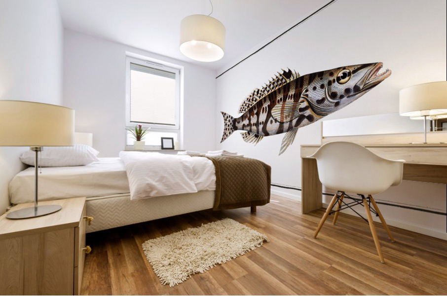 Checkred Holocentre Holocentrus tigrinus Mural print