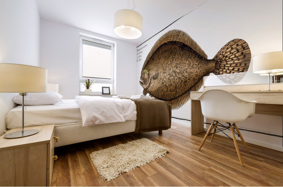 Turbot Pleuronectes maximus Mural print