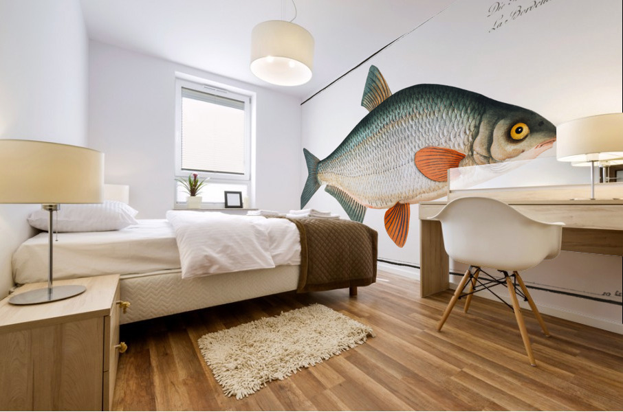 Blicca Cyprinus Blicca Mural print