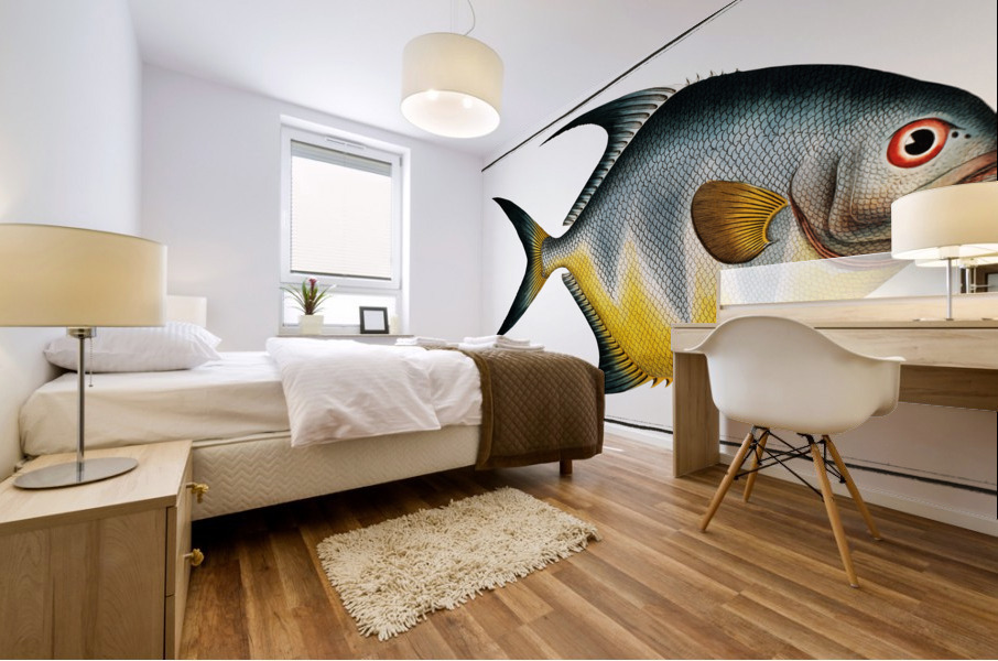 Chaetodon rhomboides Mural print