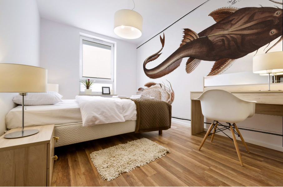 Aspread Platystacus cotylephorus Mural print