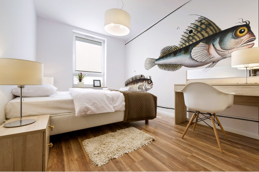 1. Butterfly-fish Blennius ocellaris 2. Blennius Gattorugine Mural print