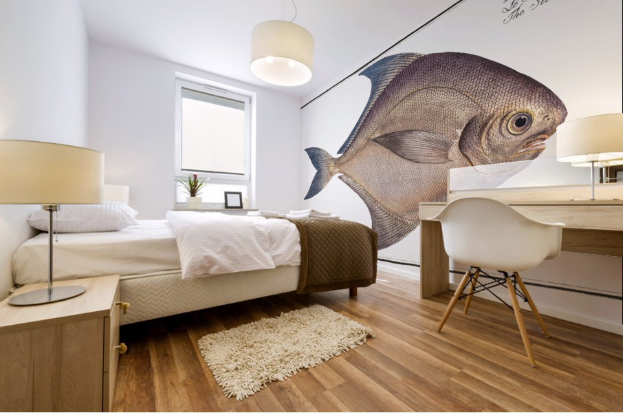 Silver-Pampel Stromateus argenteus Mural print