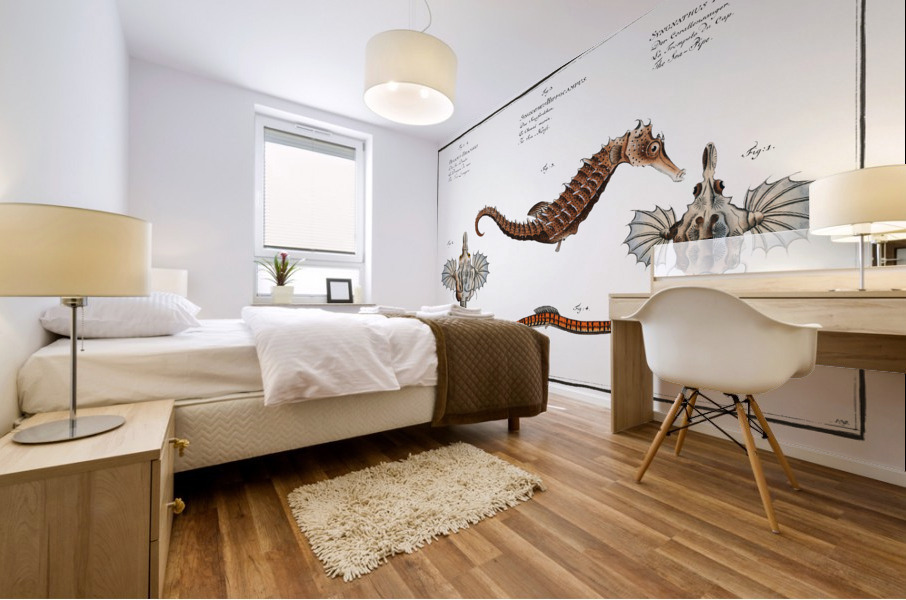 1. 2. Sea Dragon Pegasus Draconis 3. Sea-Horse Syngnathus Hippocampus 4. Sea-Pipe Syngnathus Pelagicus Mural print