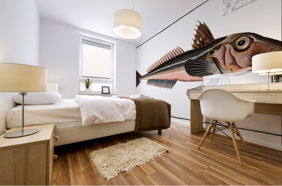 Grey Gurnard Trigla Gurnardus Mural print