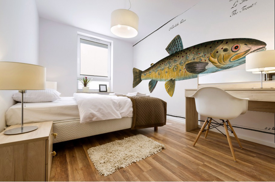 Trout Salmo Fario Mural print