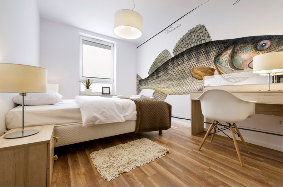 Picke-Perch Perca Lucioperca Mural print