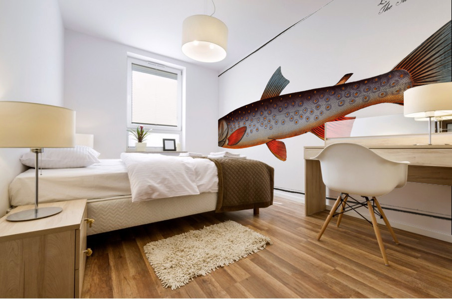 Salveling Salmo Salvelinus Mural print
