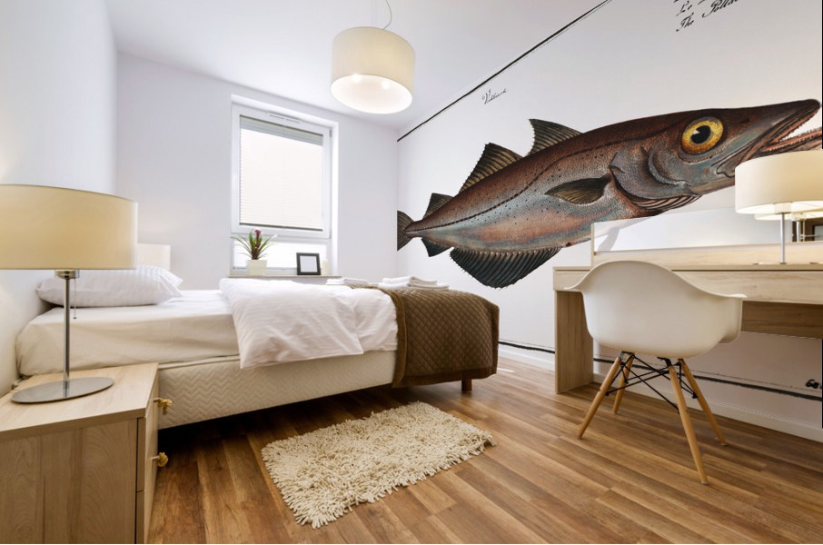 Pollack Gadus Pollachius Mural print