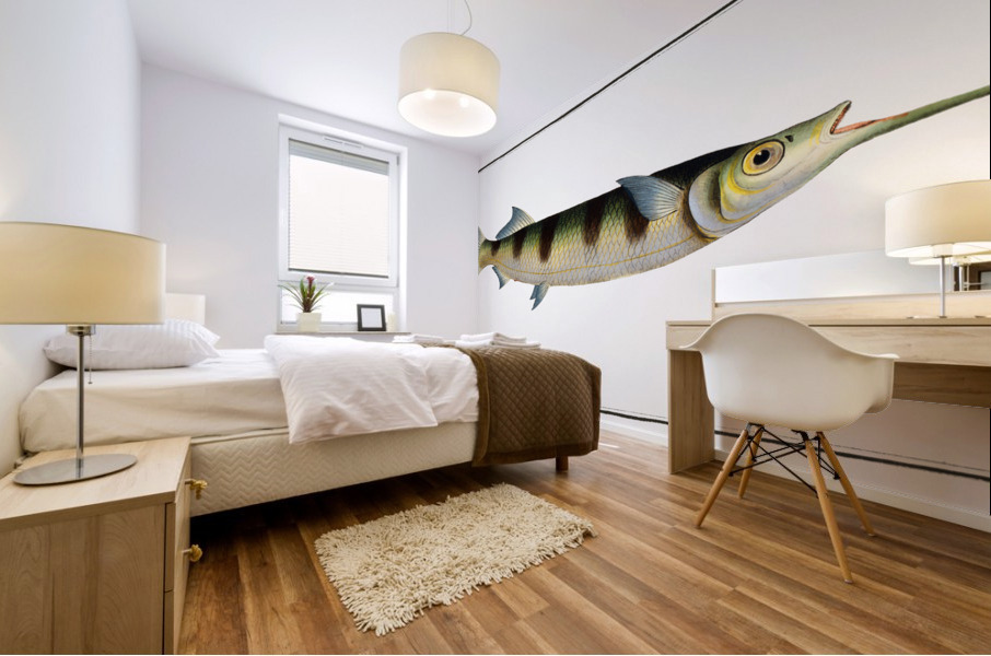 Under-Sword-Fish Esox brasiliensis Mural print