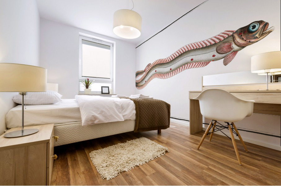 Band-Fish Cepola Tænia Mural print