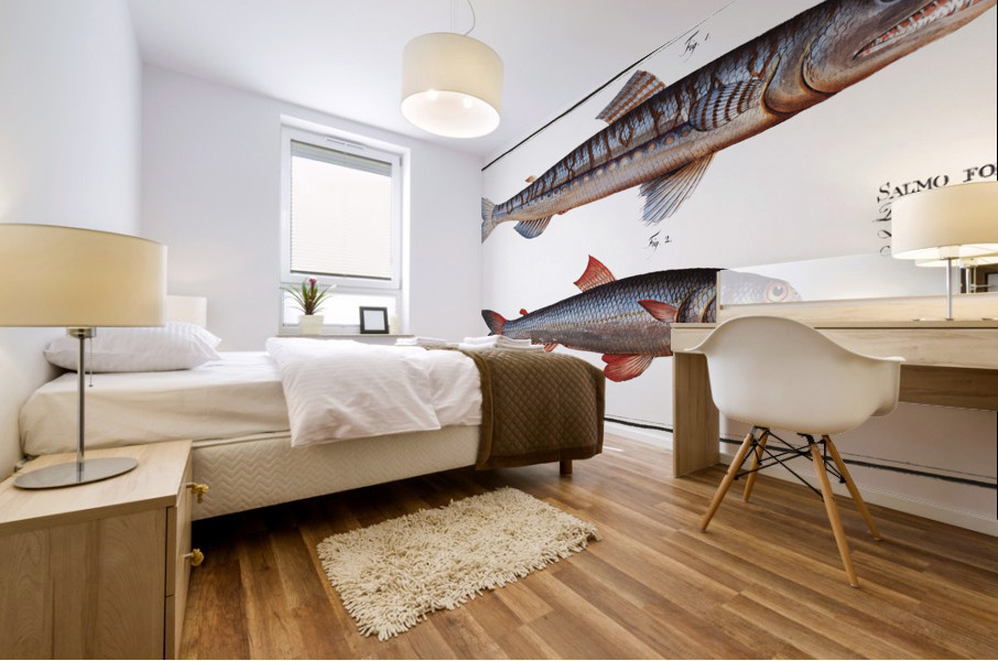 1. Sea-Lizard Salmo Saurus 2. Sea-Sparrow-Hawk Salmo foetens Mural print