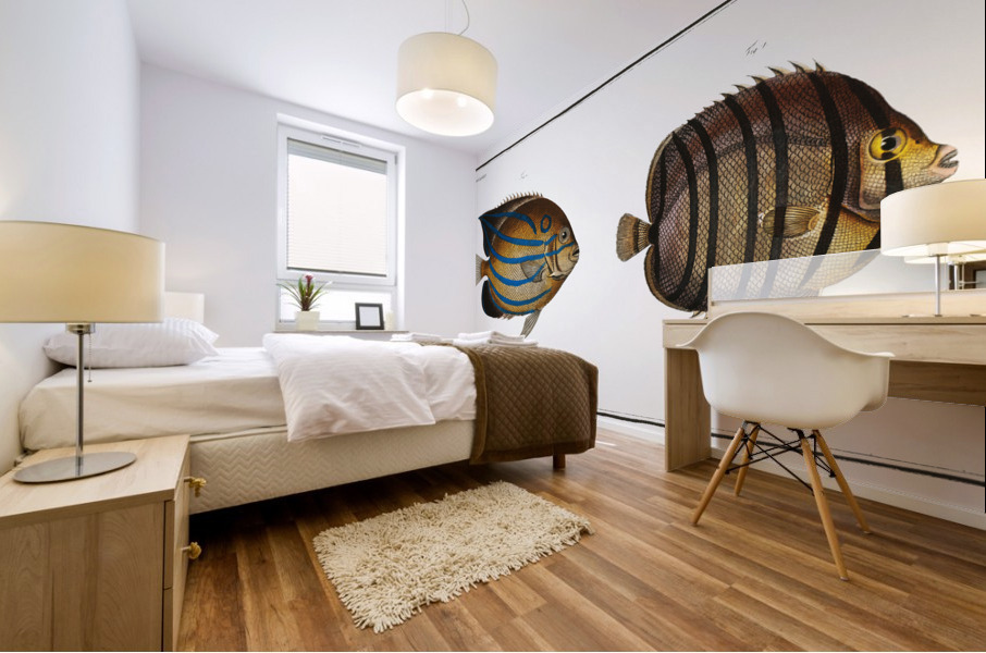 1. Chaetodon octofasciatus 2. Chaetodon annularis Mural print