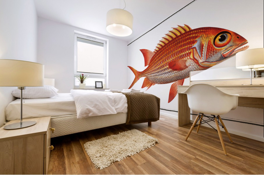 Welshman Holocentrus Sogo Mural print