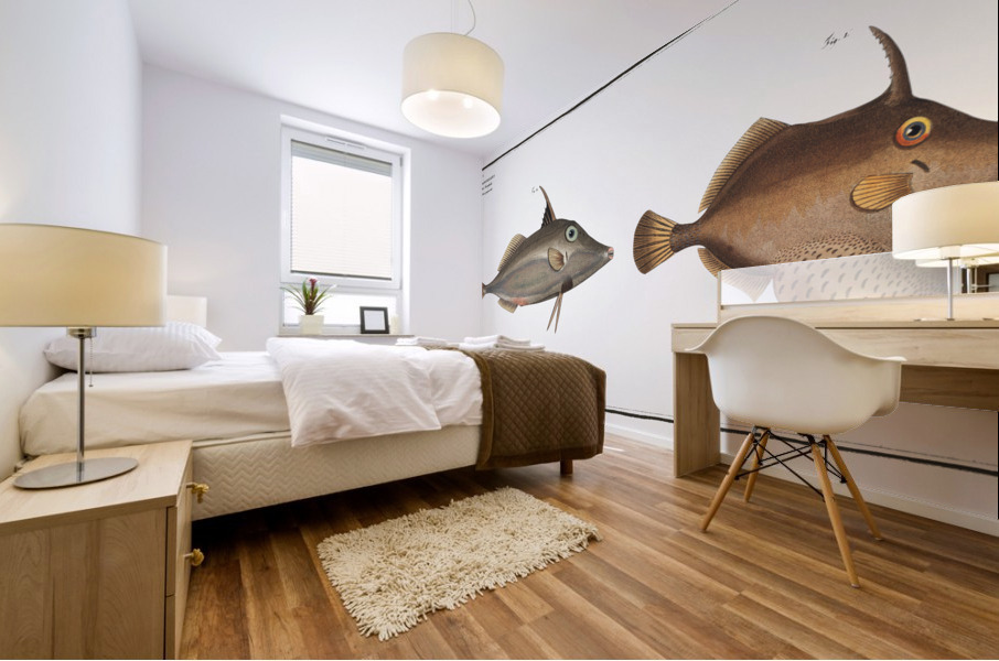 1. Little Old-Wife Balistes Tomentosus 2. Short-nosed tripod fish Balistes biaculeatus Mural print