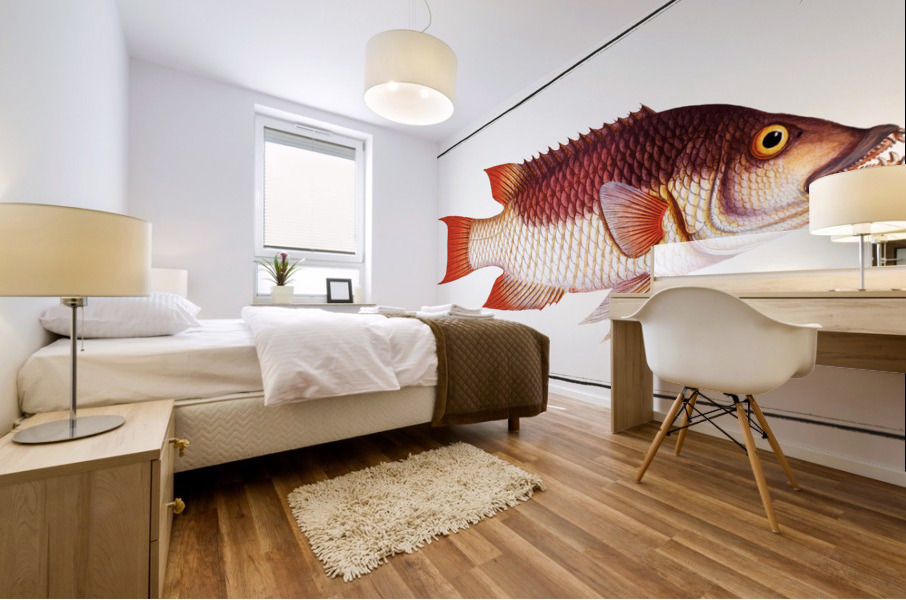 Sea Boar Lutianus Vrres Mural print