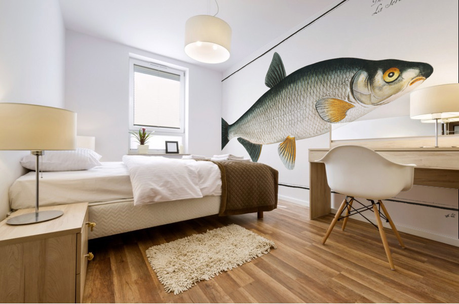 Vimba Cyprinus Vimba Mural print