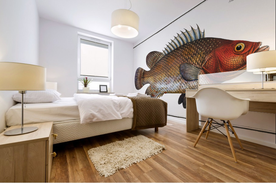 Holocentre of Surinam Holocentrus surinamensis Mural print