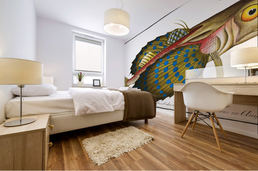 Flying-Fish Trigla volitans Mural print