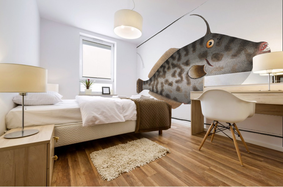 Mingo Balistes Monoceros Mural print