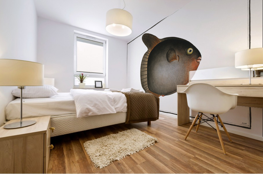 Sun-fish Diodon Mola Mural print