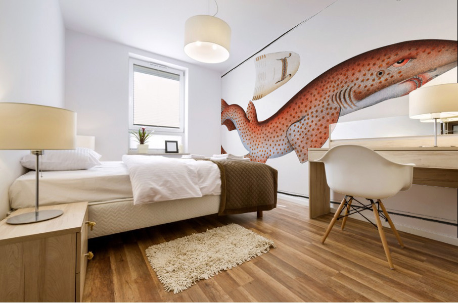 Lesser Rough Flound Squalus Catulus Mural print