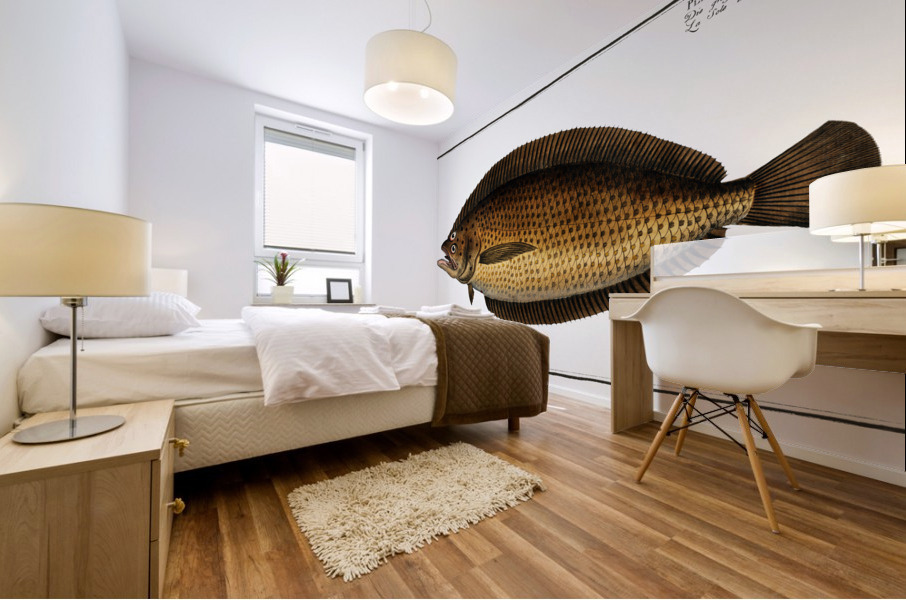 Pleuronectes macrolepidotus Mural print