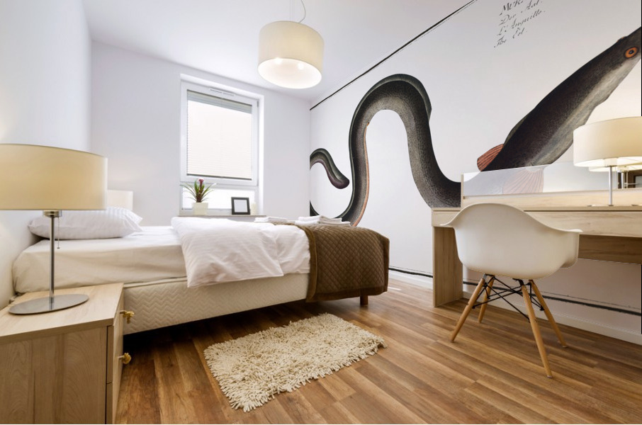 Eel Muraena Anguilla Mural print