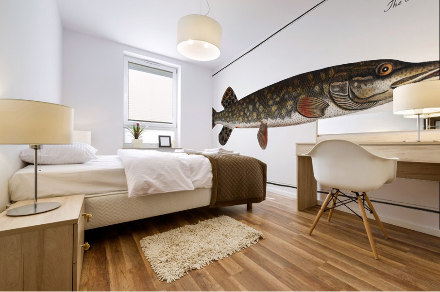 Pike Esox Lucio Mural print
