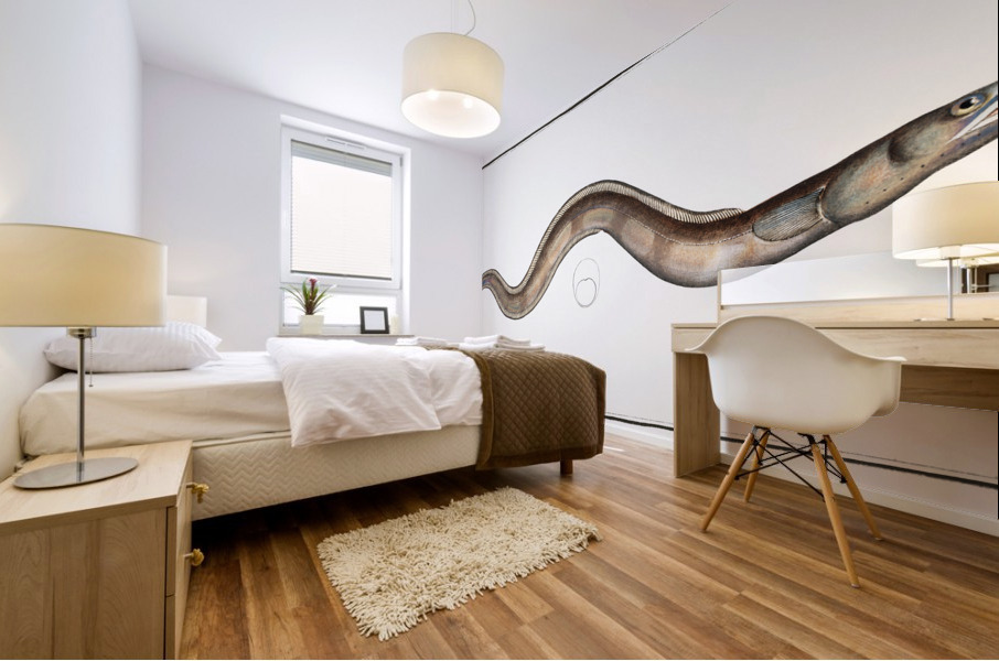 Conger Muraena Conger Mural print