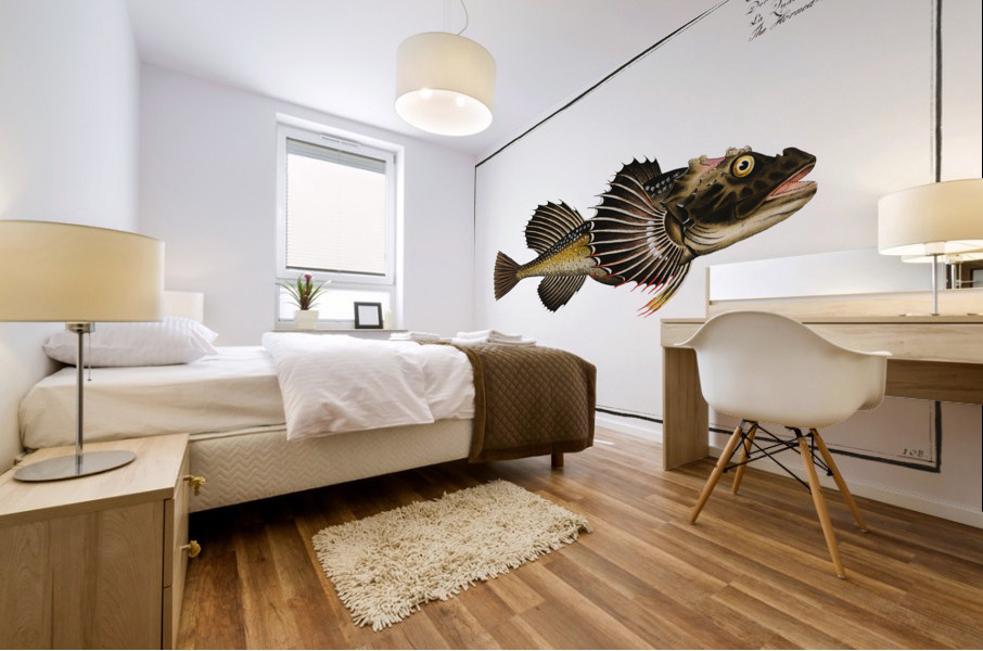 Horned Bull-Head Cottus Quadricornis Mural print