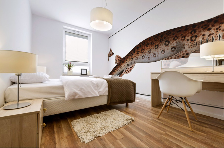 Bounce Squalus Canicula Mural print