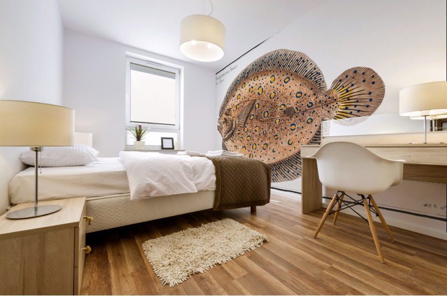 Argus-Flounder Pleuronectes Argus Mural print