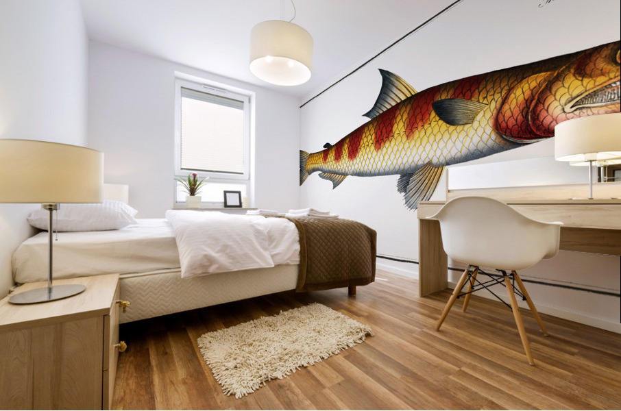 Tumbil Salmo Tumbil Mural print