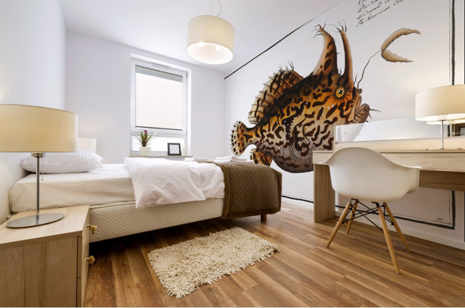 American Toad-Fish Lophius Histrio Mural print