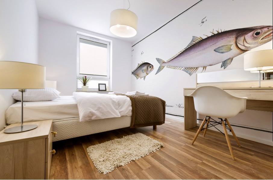 1. Cross-spine Scomber aculeatus 2. Spur-back Scomber Calcar Mural print