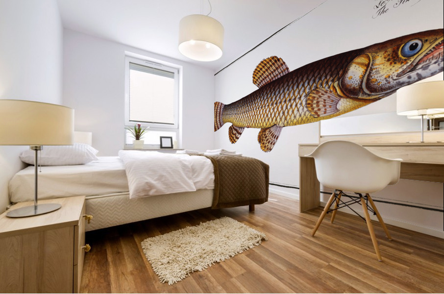 Pike of Malabar Esox malabaricus Mural print