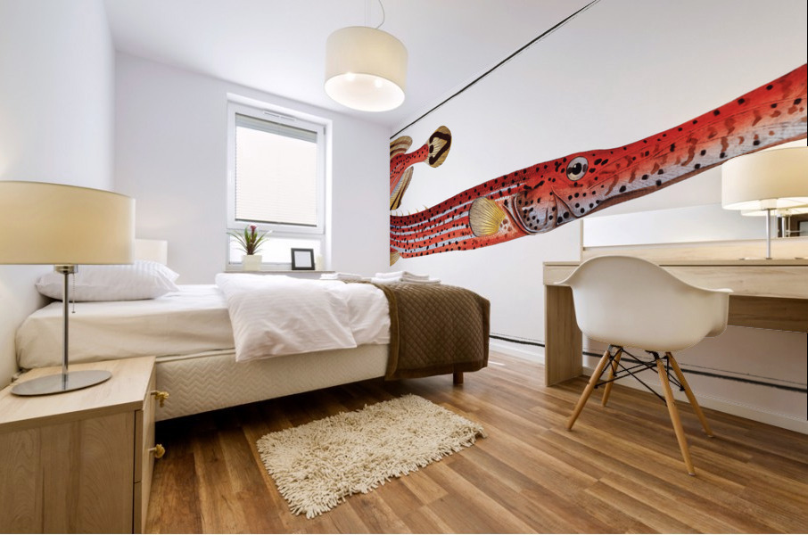 Trumpet Fistularia chinensis Mural print