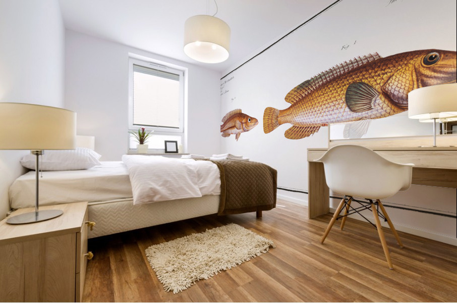 1. Green-fin Lutianus Virescens 2. Snouted Lutian Lutianus Rcstratus Mural print