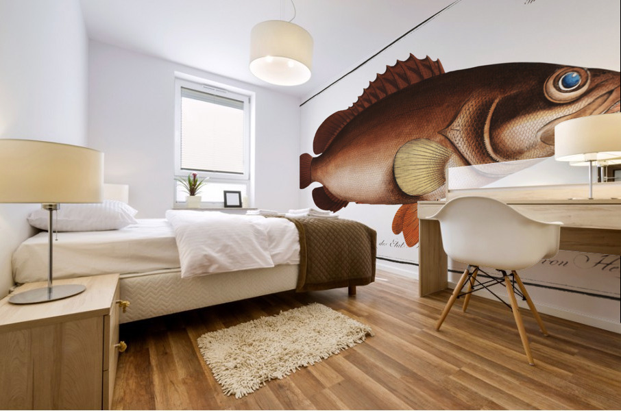 Africain Wall-eye Epinephelus Afer Mural print