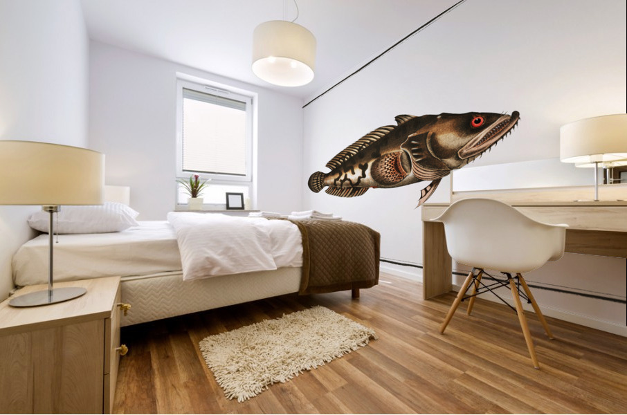 Gottus gruniens Mural print