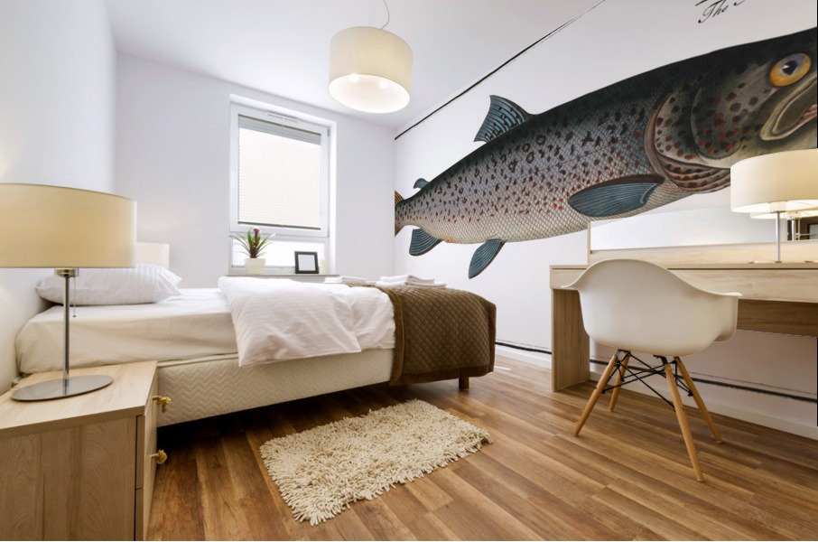 Male-Salmon Salmo Salar Mas Mural print